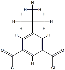 1,3-Benzenedicarbonyl dichloride, 5-(1,1-dimethylethyl)- Structure