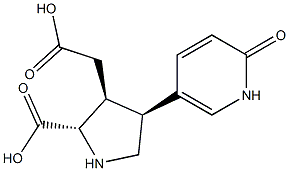 (2S)-2α-Carboxy-4β-[(2-oxo-1,2-dihydropyridin)-5-yl]pyrrolidine-3β-acetic acid Structure