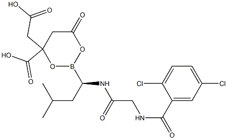 纳豆激酶