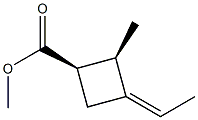 Cyclobutanecarboxylic acid, 3-ethylidene-2-methyl-, methyl ester, [1R- Structure