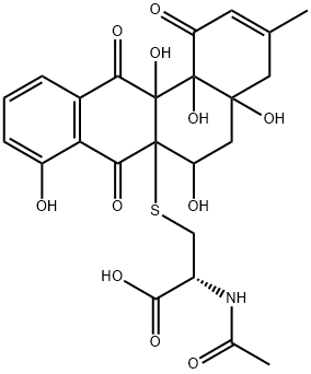 WS 009B Structure