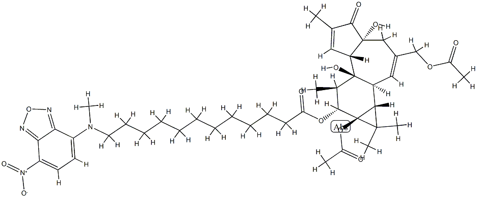 phorbol-13-acetate-12-N-methyl-N-4-(N,N'-di(2-hydroxyethyl)amino)-7-nitrobenz-2-oxa-1,3-diazole-aminododecanoate Structure