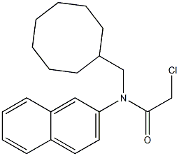 2-chloro-N-(cyclooctylmethyl)-N-(naphthalen-2-yl)acetamide,1397190-02-1,结构式