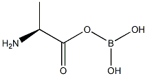 L-Alanine, monoanhydride with boric acid (H3BO3) (9CI) Struktur