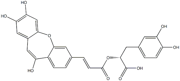 イソサルビアノル酸C 化学構造式