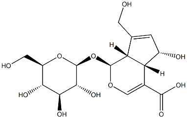 (1S,4aS,5S,7aS)-1-(b-D-Glucopyranosyloxy)-1,4a,5,7a-tetrahydro-5-hydroxy-7-(hydroxymethyl)cyclopenta[c]pyran-4-carboxylic acid Struktur