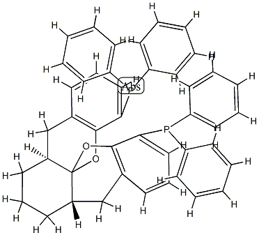 1439556-82-7 (-)-1,13-双（二苯基）膦基-（5aS，8aS，14aS）-5a，6,7,8,8a，9-六氢-5H- [1]苯并吡喃并[3,2-d]氧杂蒽