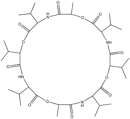 octa-valinomycin Struktur
