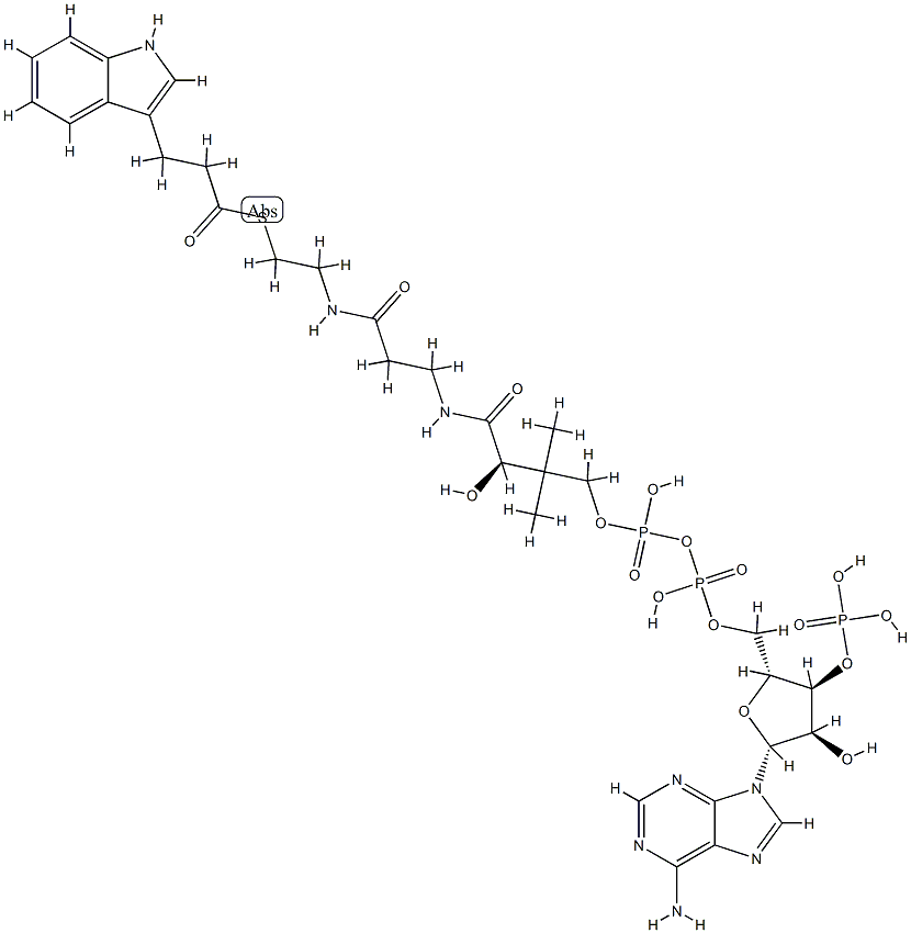 3-インドールプロピオニルCoA 化学構造式