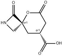 5-Oxa-2-azaspiro[3.5]nonane-8-carboxylic acid, 1,6-dioxo-, (4R,8R)-rel- Structure
