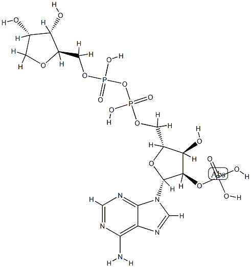 NEUROTROPHIN-4, HUMAN 化学構造式