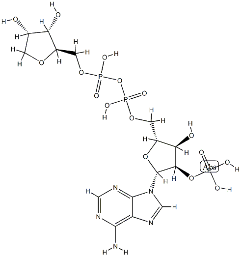 NEUROTROPHIN-4, HUMAN|NEUROTROPHIN-4, HUMAN