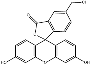 5-CMF  [5-(ChloroMethyl)fluorescein] Structure
