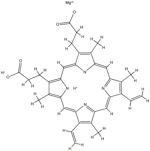 magnesium protoporphyrin Struktur