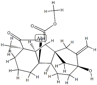 Gibberellin I Struktur