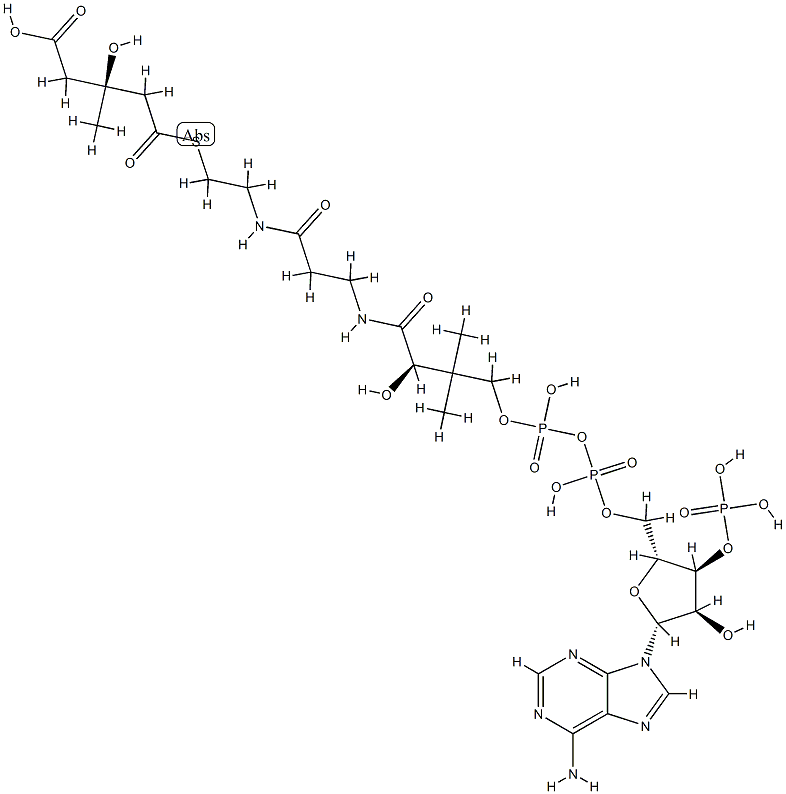 S-(hydrogen 3-hydroxy-3-methylglutaryl)coenzyme A Struktur
