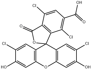 6-TET Structure