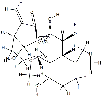 Rabdoternin F Struktur