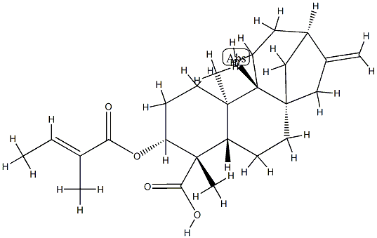 3Alaph-Tigloyloxypterokaurene L3 Structure