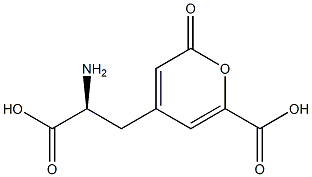 stizolobic acid 结构式