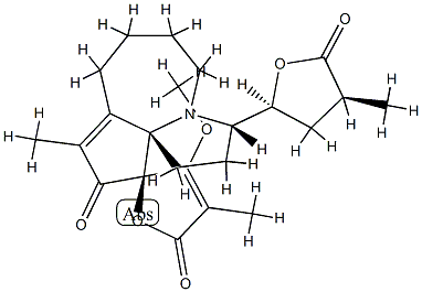 ProtosteMotinine Struktur