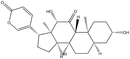 伪异沙蟾毒精,17008-65-0,结构式