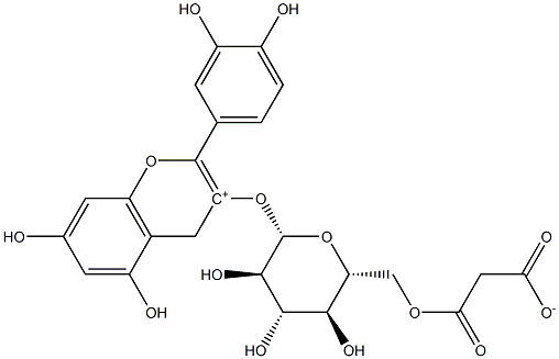 Cyanidin 3-(6”-malonylglucoside), 171828-62-9, 结构式