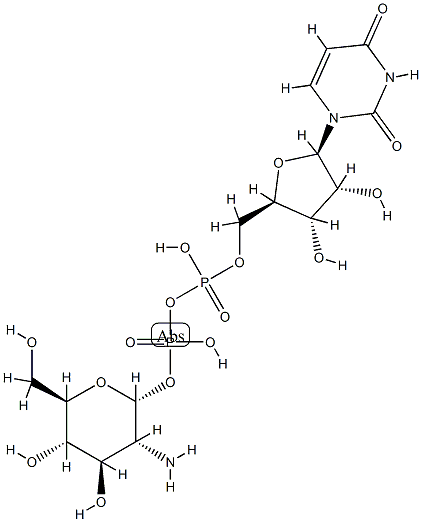 UDP-glucosamine Structure