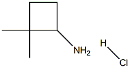 Cyclobutanamine, 2,2-dimethyl-, hydrochloride (1:1) Structure