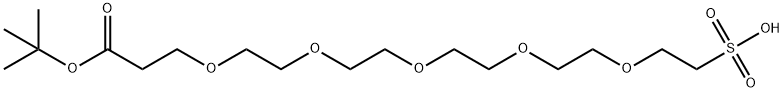 丁氧羰基-五聚乙二醇-磺酸, 1817735-28-6, 结构式