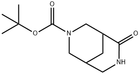 RaceMic 6-oxo-3,7-diaza- bicyclo[3.3.1]nonane-3-carboxylic acid tert-butyl ester Structure