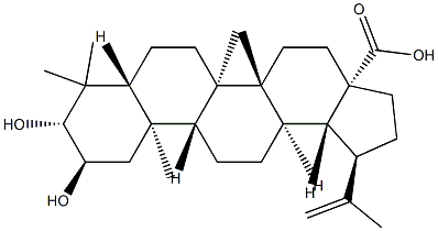 2α,3β-ジヒドロキシルパ-20(29)-エン-28-酸 化学構造式