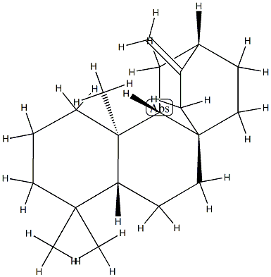 (5β,8α,9β,10α,12α)-Atis-16-ene Structure