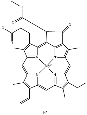 Protochlorophyllide Structure