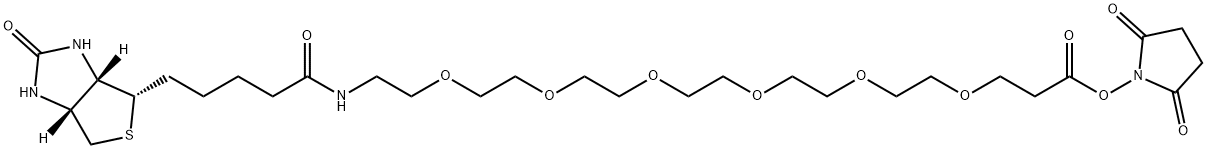 (+)-Biotin-PEG6-NHS Ester Struktur