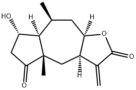 Burrodin Structure