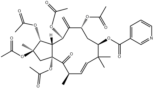 Jatrophane 1