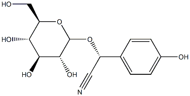 (2R)-タキシフィリン 化学構造式