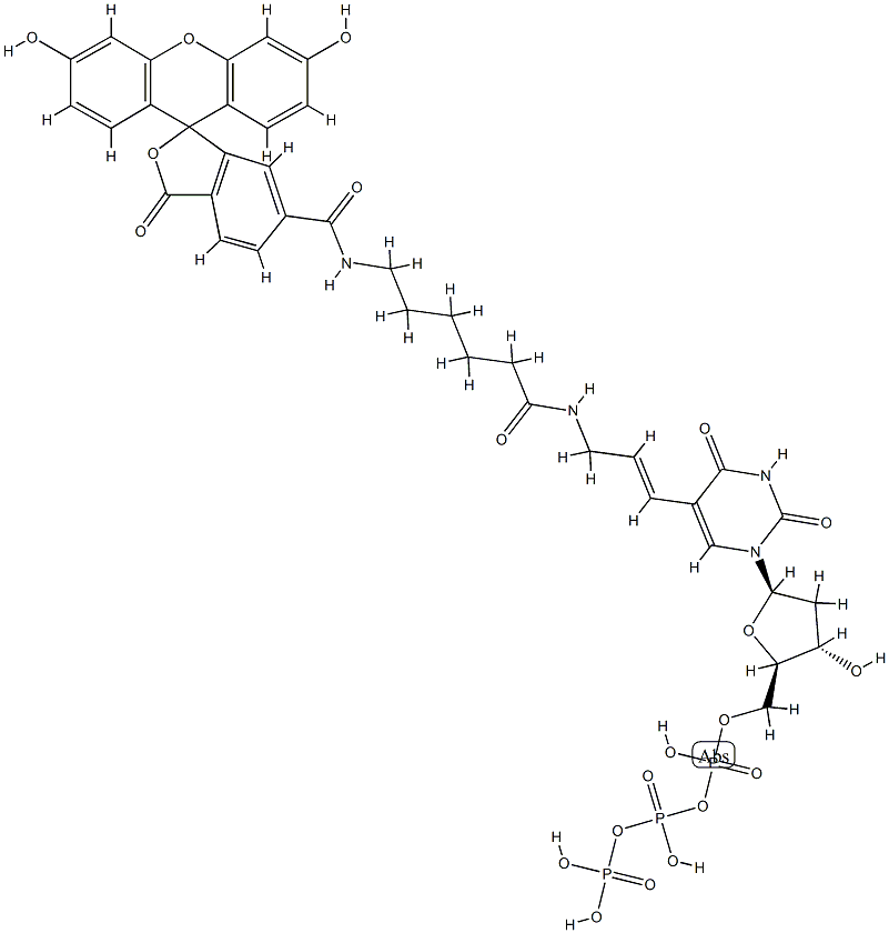 1MM FLUORESCEIN-DUTP溶液, 214154-36-6, 结构式