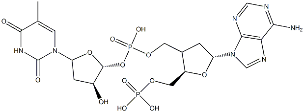 deoxythymidylyl-3'-5'-deoxyadenylate Struktur