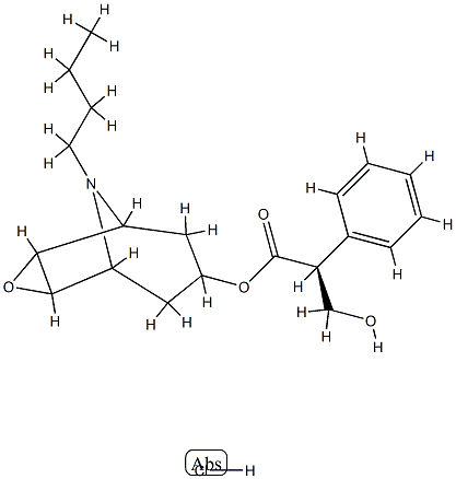 N-Butyl Nor ScopolaMine Hydrochloride