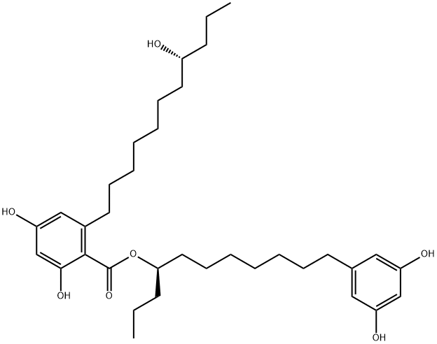 Integracin B Structure