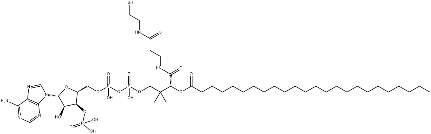 lignoceroyl-coenzyme A Struktur