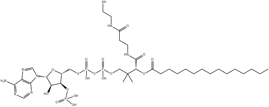 pentadecanoyl Coenzyme A Structure