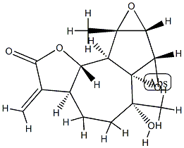 Canin Structure