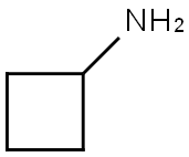 Cyclobutylamine Structure