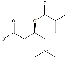 (3R)-3-(2-methylpropanoyloxy)-4-trimethylazaniumylbutanoate Struktur