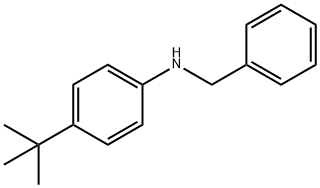 N-benzyl-4-tert-butylaniline 结构式