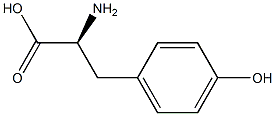 ポリ-L-チロシン 化学構造式