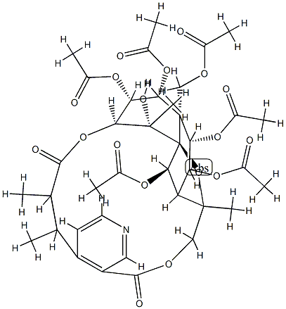 262601-67-2 Structure